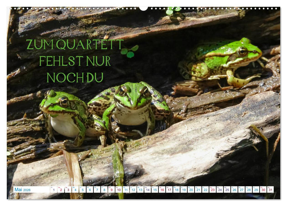 Humorvolles aus der Tierwelt (CALVENDO Premium Wandkalender 2026)