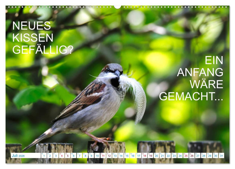 Humorvolles aus der Tierwelt (CALVENDO Premium Wandkalender 2026)