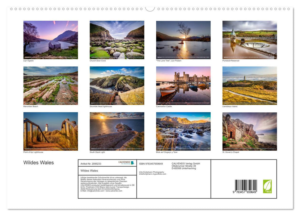 Wildes Wales (CALVENDO Premium Wandkalender 2026)