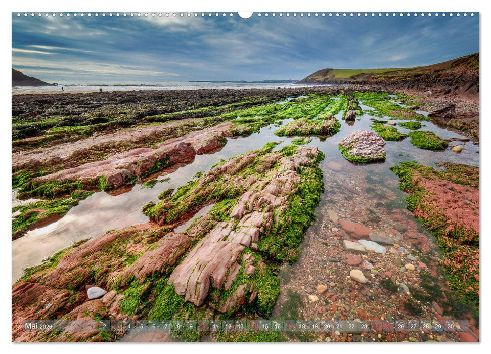 Wildes Wales (CALVENDO Premium Wandkalender 2026)