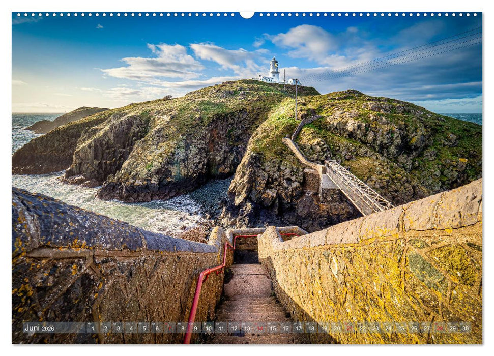 Wildes Wales (CALVENDO Premium Wandkalender 2026)