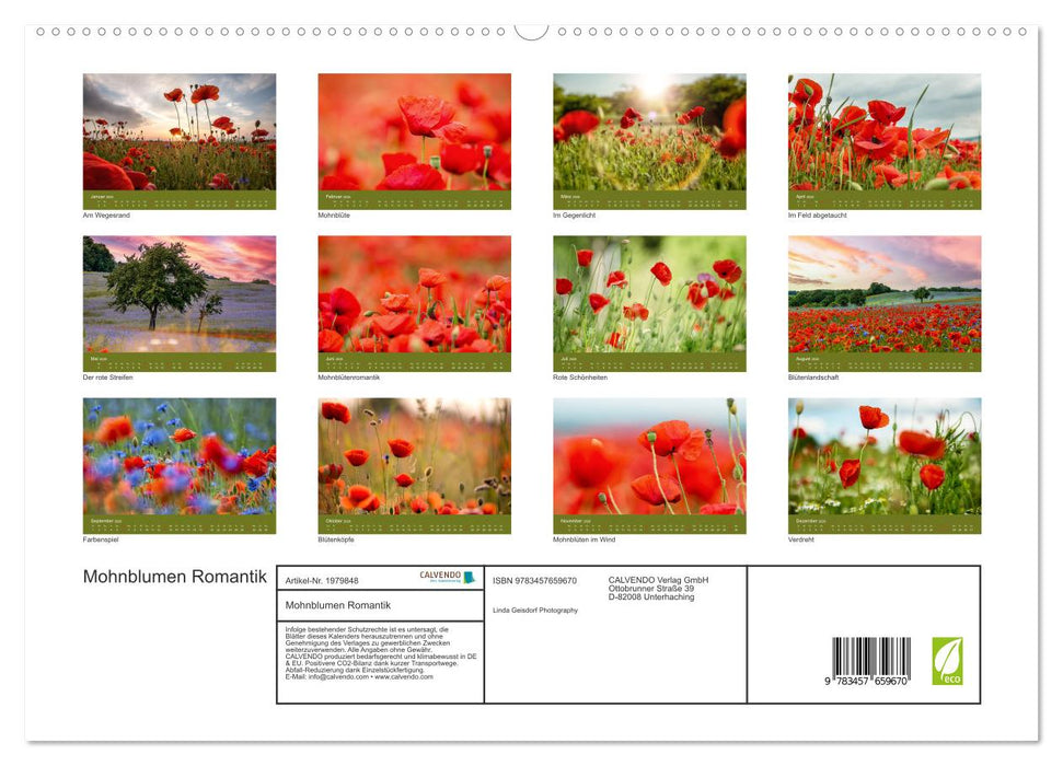 Mohnblumen Romantik (CALVENDO Premium Wandkalender 2026)