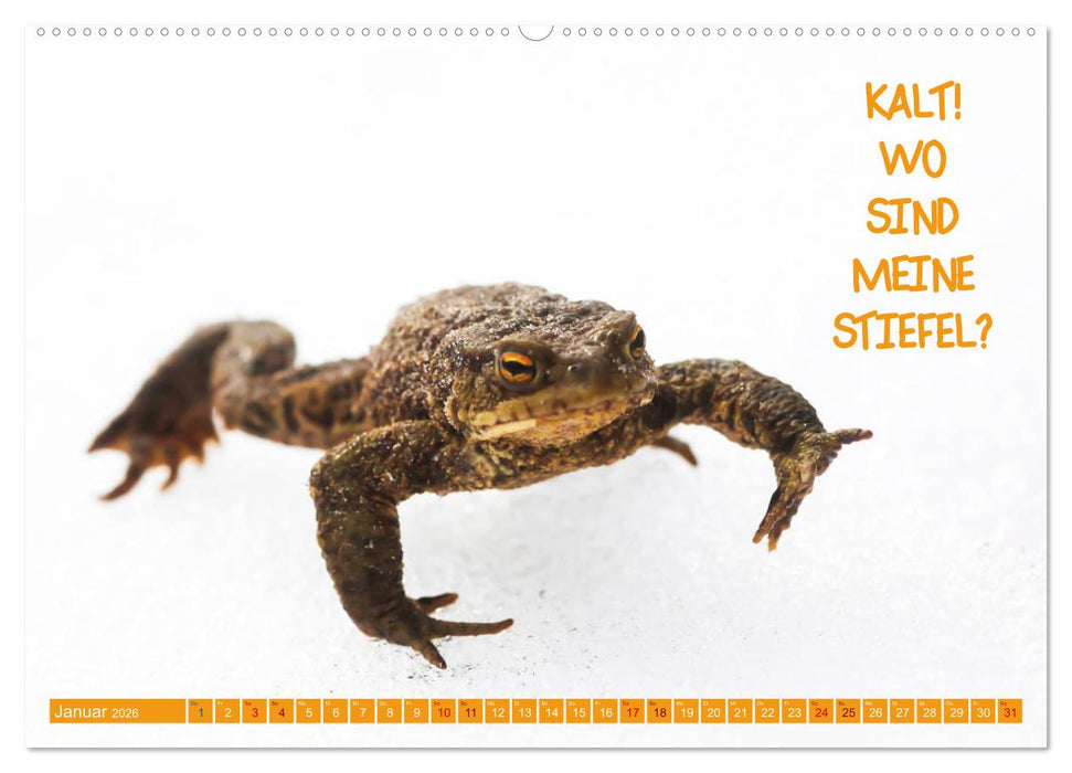 Freude und Spaß an Tierfotos (CALVENDO Premium Wandkalender 2026)