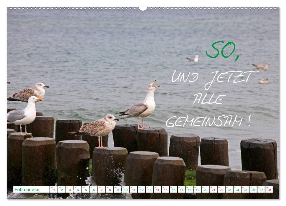 Freude und Spaß an Tierfotos (CALVENDO Premium Wandkalender 2026)