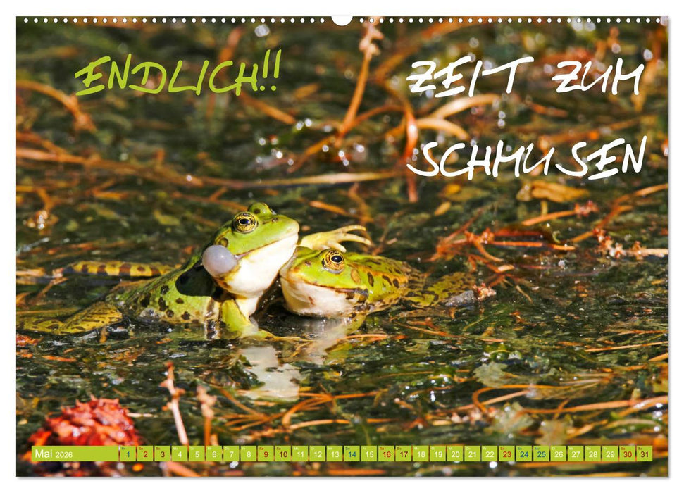 Freude und Spaß an Tierfotos (CALVENDO Premium Wandkalender 2026)