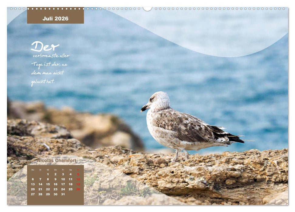 Mittelmeer, Meer, Wellen, Strand, Muscheln, Sand & Zitate (CALVENDO Premium Wandkalender 2026)