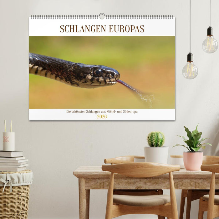 Schlangen Europas (CALVENDO Wandkalender 2026)