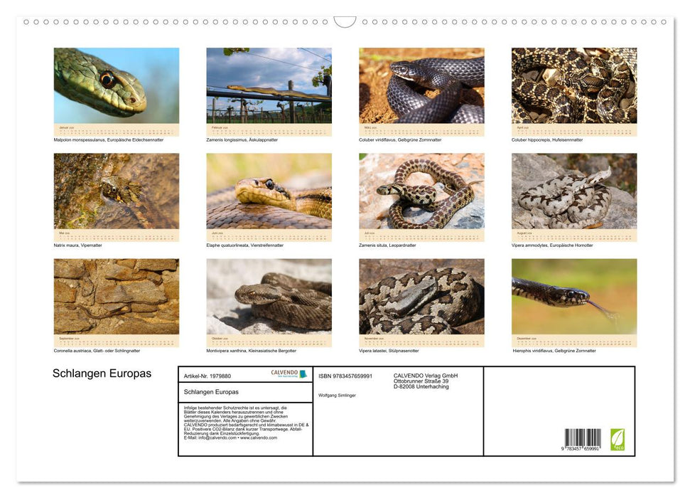 Schlangen Europas (CALVENDO Wandkalender 2026)