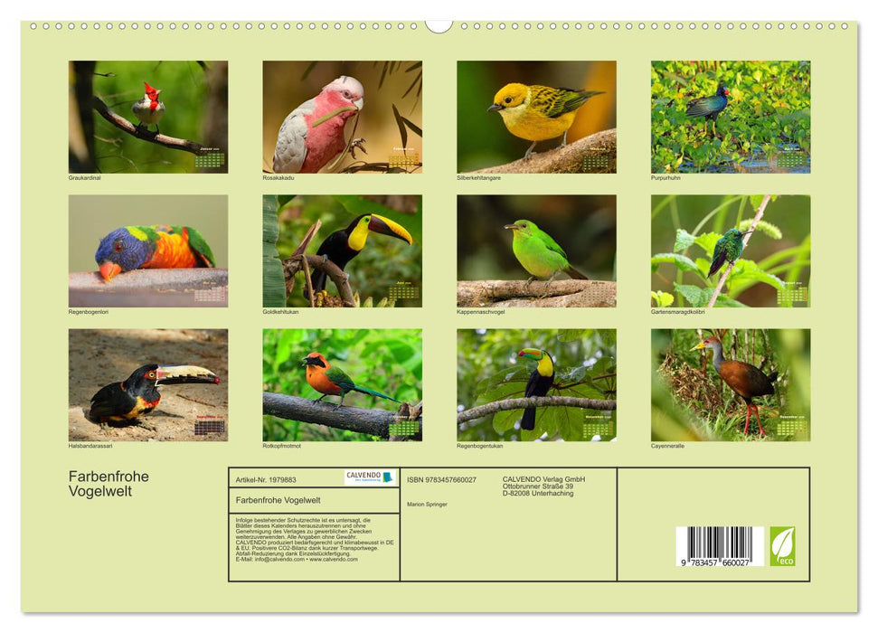 Farbenfrohe Vogelwelt (CALVENDO Premium Wandkalender 2026)