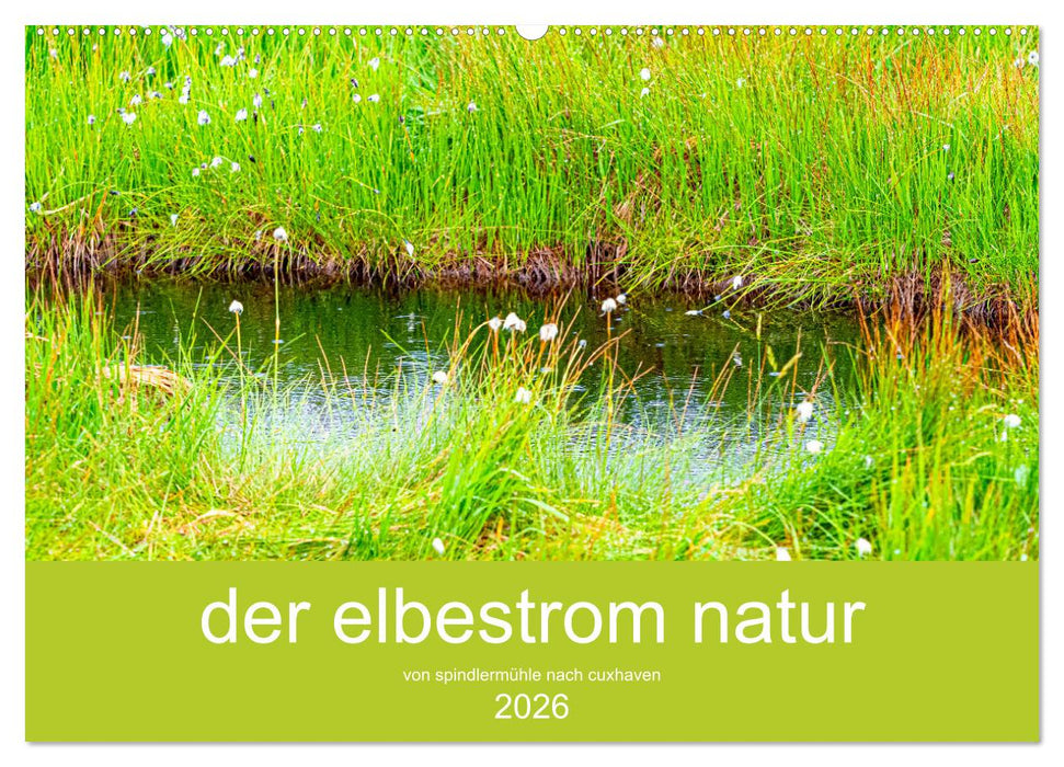 der elbestrom natur (CALVENDO Wandkalender 2026)