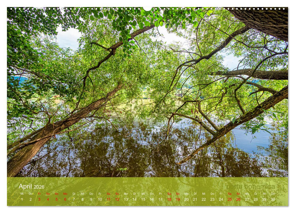 der elbestrom natur (CALVENDO Wandkalender 2026)