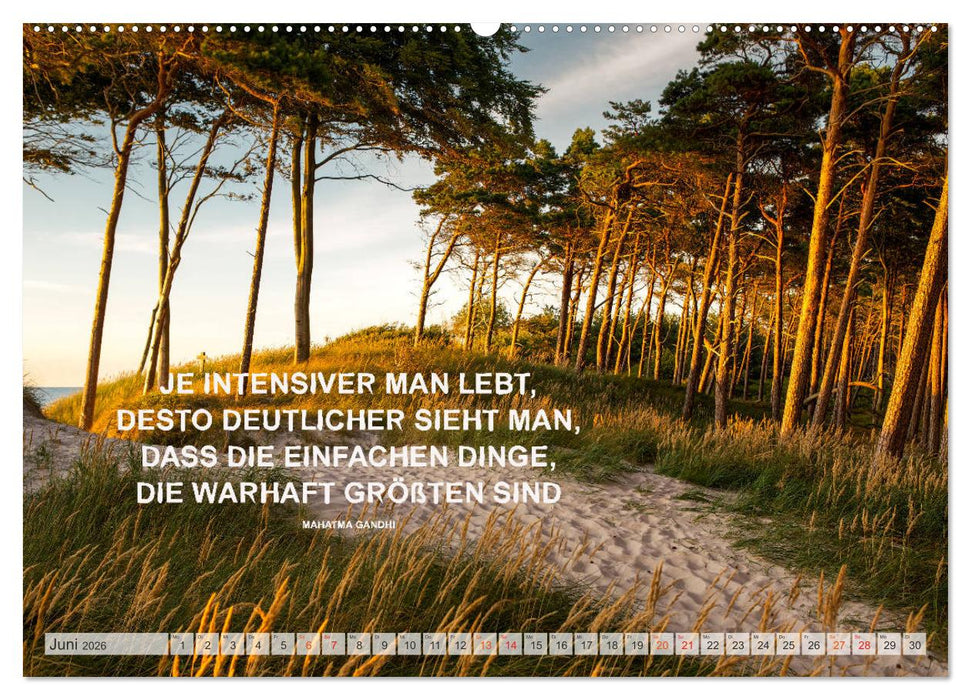 Motivation und Meer (CALVENDO Premium Wandkalender 2026)