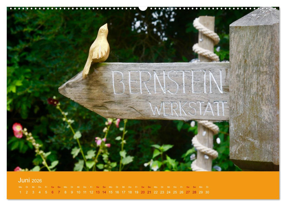 Hiddensee mon amour (CALVENDO Premium Wandkalender 2026)