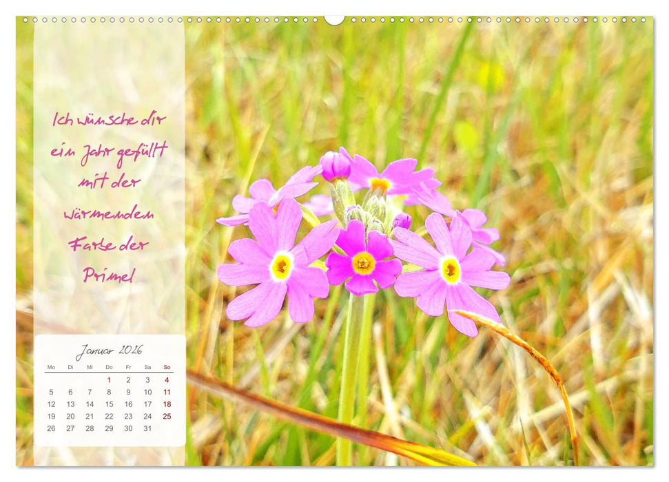 Blühende Herzenswünsche für Dich! (CALVENDO Premium Wandkalender 2026)