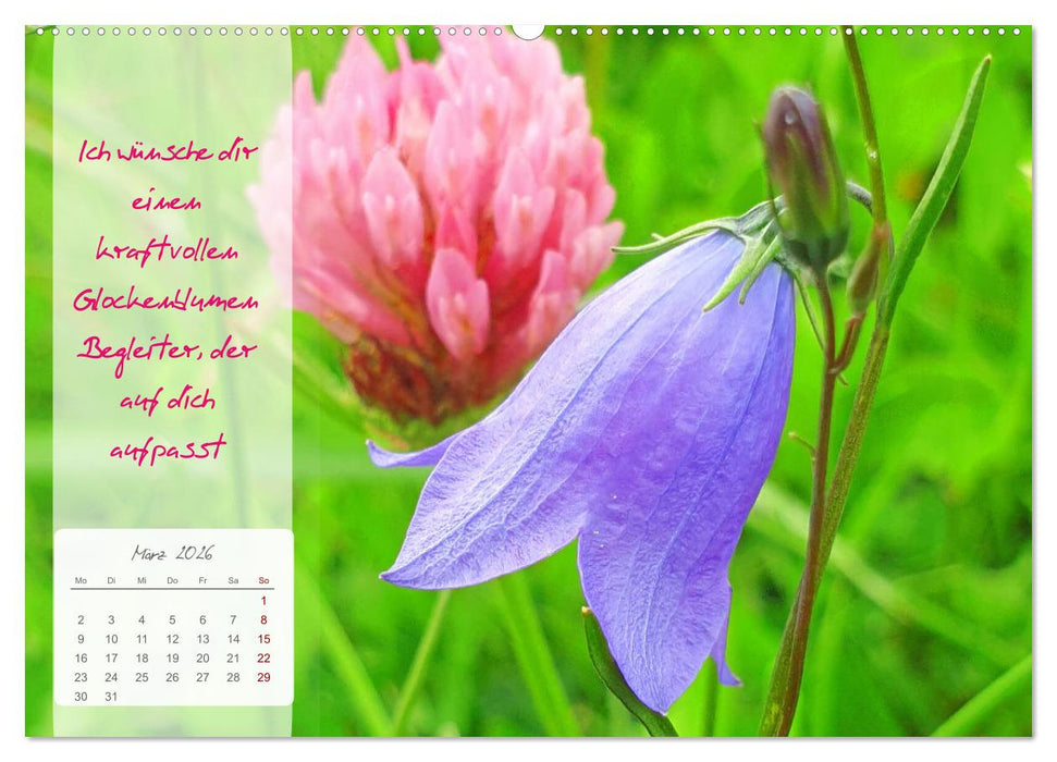 Blühende Herzenswünsche für Dich! (CALVENDO Premium Wandkalender 2026)