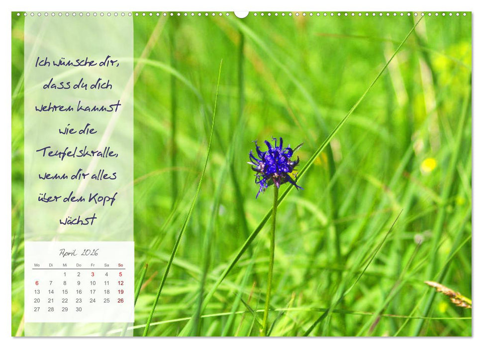 Blühende Herzenswünsche für Dich! (CALVENDO Premium Wandkalender 2026)
