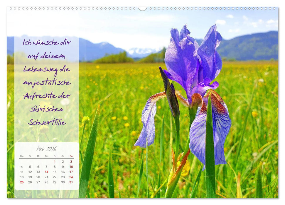 Blühende Herzenswünsche für Dich! (CALVENDO Premium Wandkalender 2026)