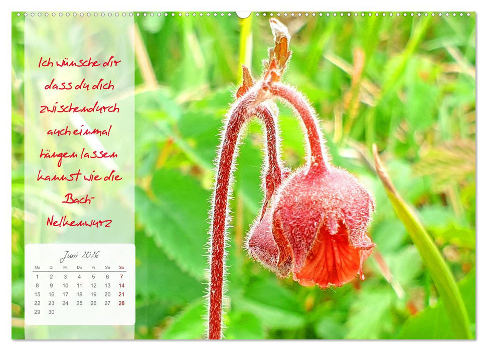 Blühende Herzenswünsche für Dich! (CALVENDO Premium Wandkalender 2026)