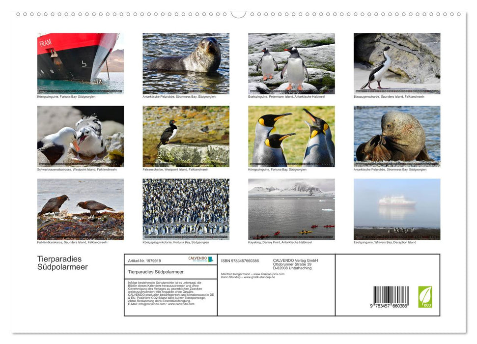 Tierparadies Südpolarmeer (CALVENDO Premium Wandkalender 2026)