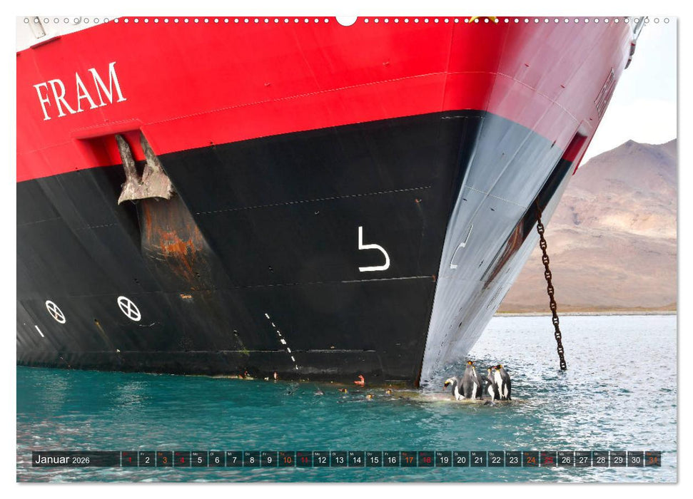 Tierparadies Südpolarmeer (CALVENDO Premium Wandkalender 2026)