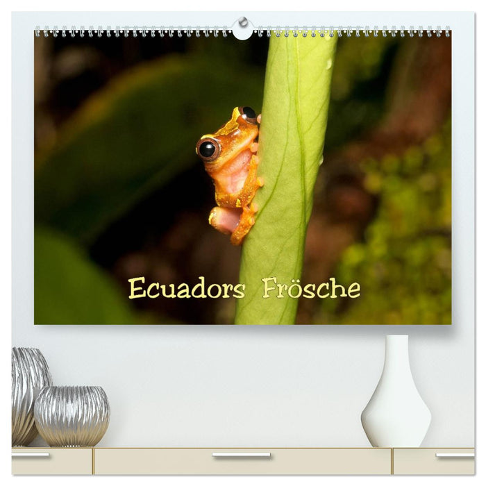 Ecuadors Frösche (CALVENDO Premium Wandkalender 2026)