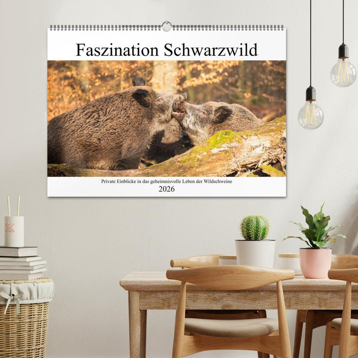 Faszination Schwarzwild (CALVENDO Wandkalender 2026)