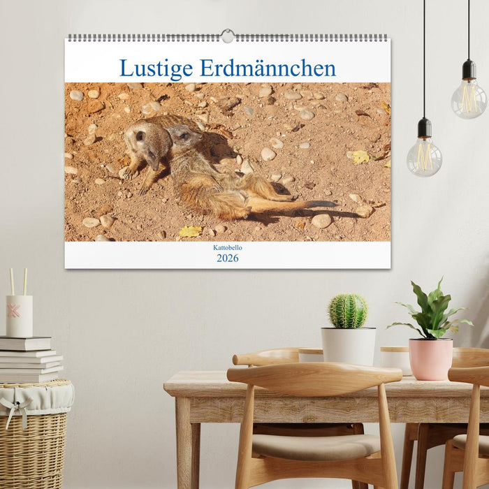 Lustige Erdmännchen (CALVENDO Wandkalender 2026)