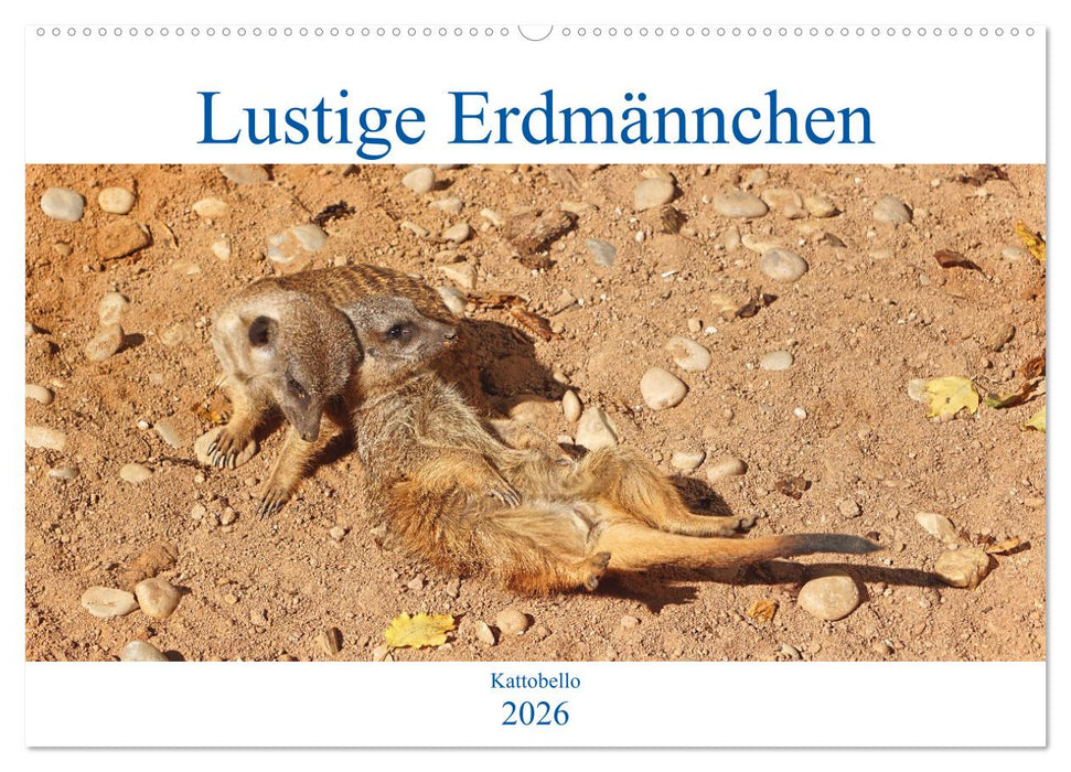 Lustige Erdmännchen (CALVENDO Wandkalender 2026)