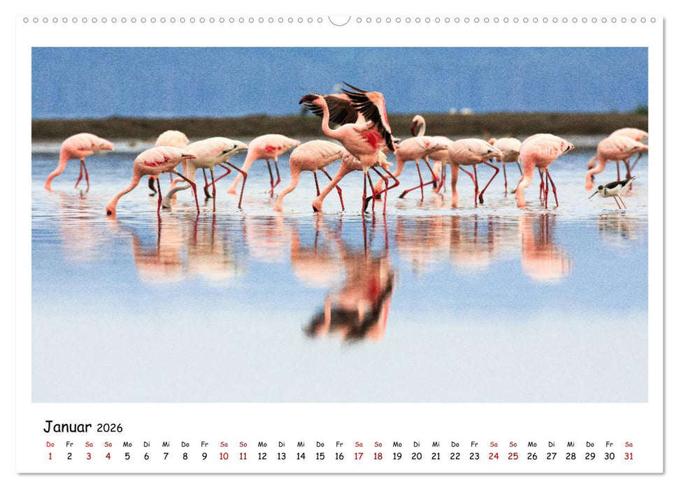 Tierparadies Kenia (CALVENDO Premium Wandkalender 2026)