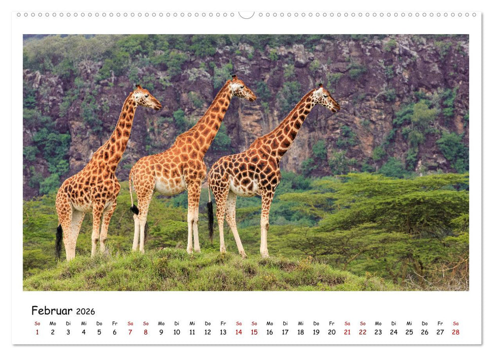 Tierparadies Kenia (CALVENDO Premium Wandkalender 2026)