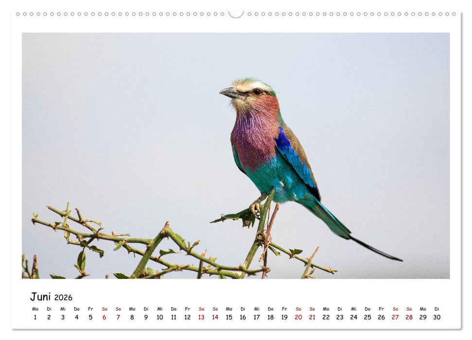 Tierparadies Kenia (CALVENDO Premium Wandkalender 2026)