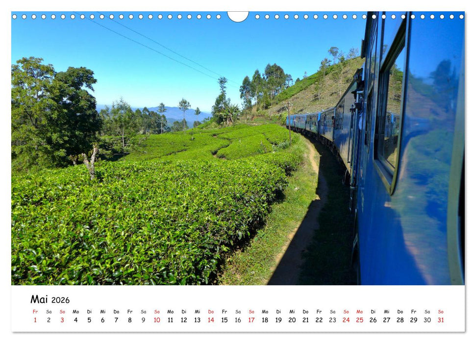 Im Herzen Backpacker - Auf den Pfaden eines Backpackers - Beliebte Orte und Sehenswürdigkeiten (CALVENDO Wandkalender 2026)