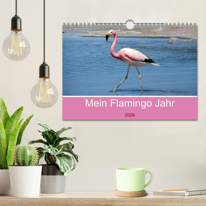 Mein Flamingo Jahr (CALVENDO Wandkalender 2026)