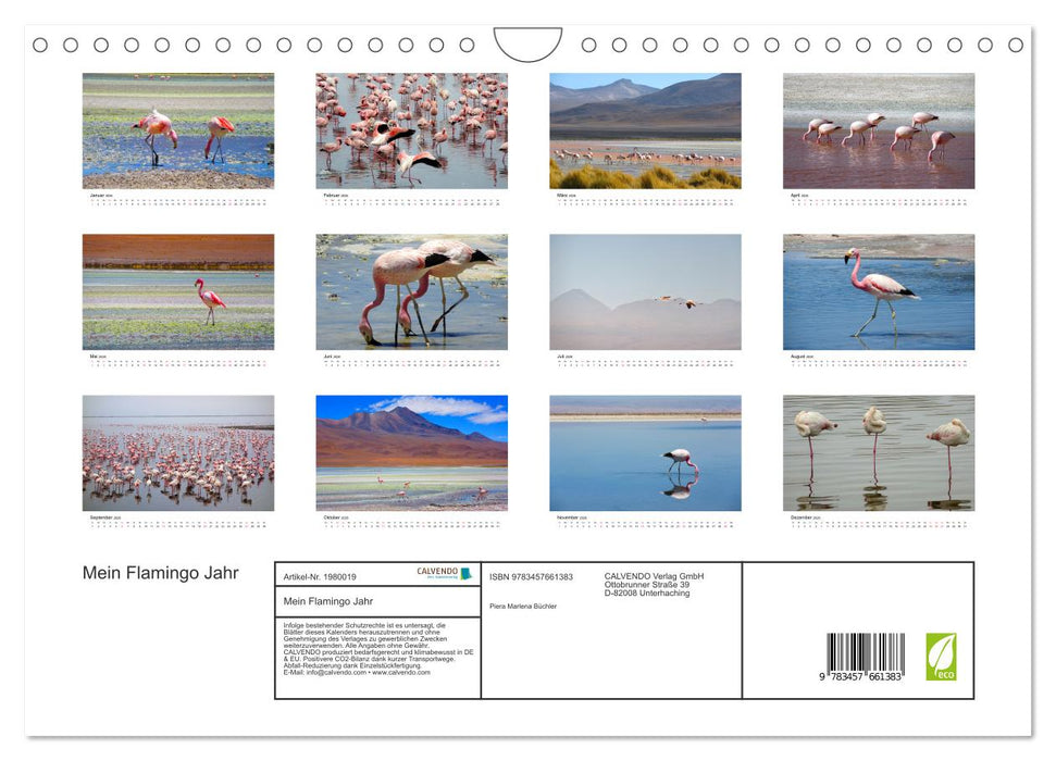 Mein Flamingo Jahr (CALVENDO Wandkalender 2026)