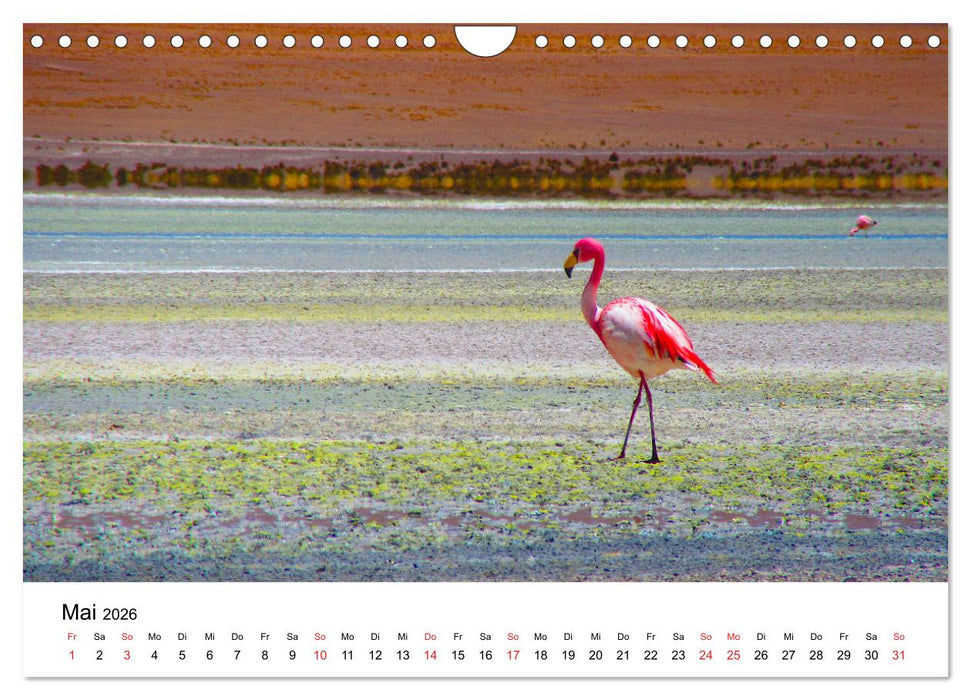 Mein Flamingo Jahr (CALVENDO Wandkalender 2026)