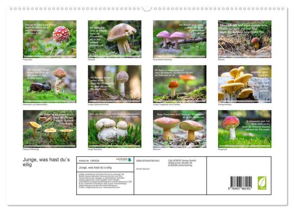 Junge, was hast du`s eilig (CALVENDO Premium Wandkalender 2026)