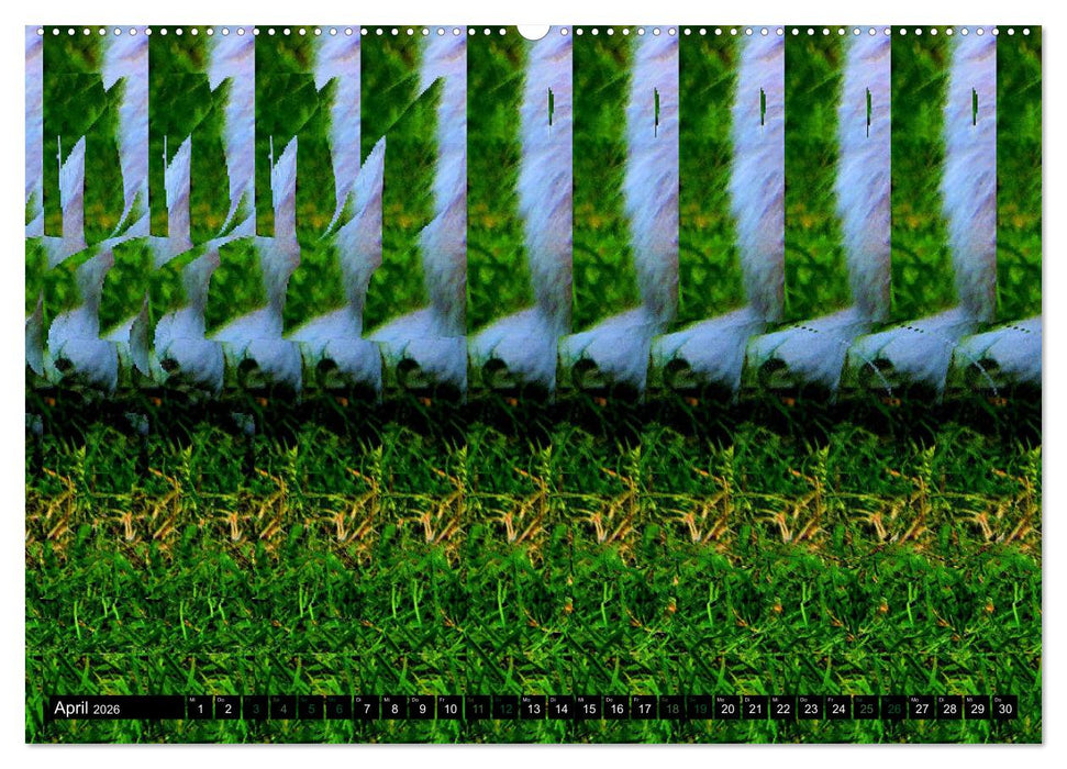 Magische Bilder - 3D Stereogramme (CALVENDO Premium Wandkalender 2026)