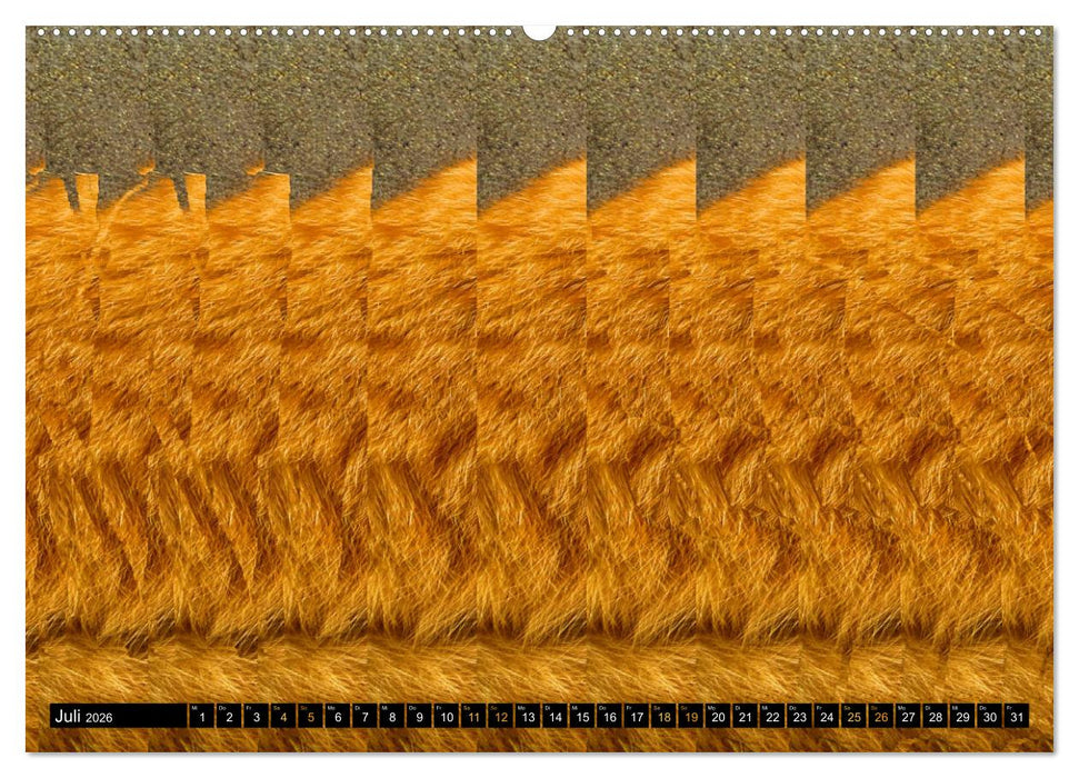 Magische Bilder - 3D Stereogramme (CALVENDO Premium Wandkalender 2026)