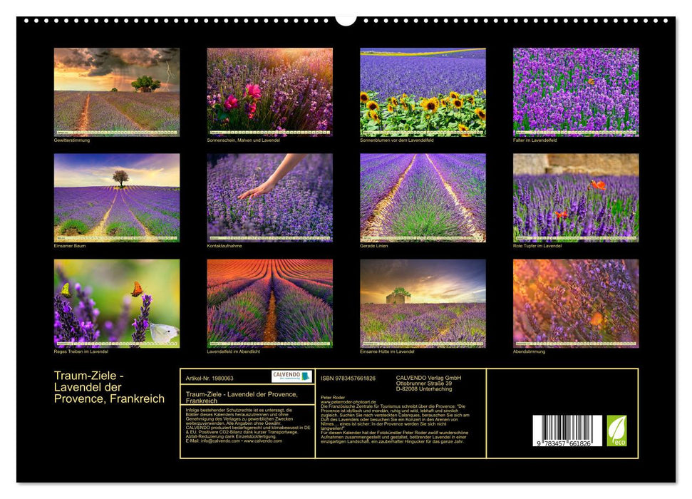 Traum-Ziele - Lavendel der Provence, Frankreich (CALVENDO Premium Wandkalender 2026)