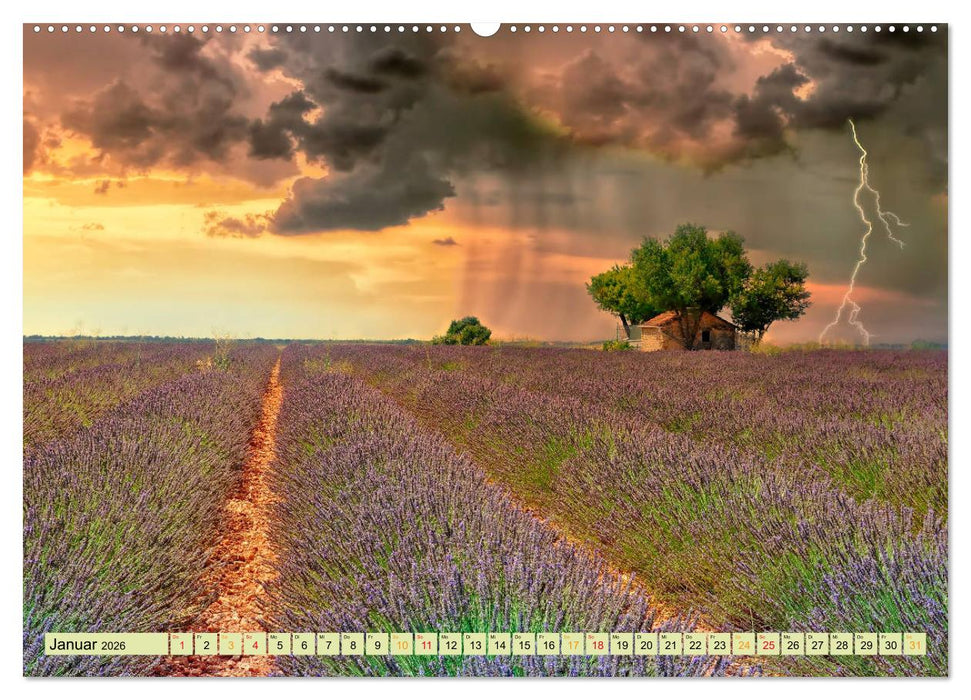 Traum-Ziele - Lavendel der Provence, Frankreich (CALVENDO Premium Wandkalender 2026)