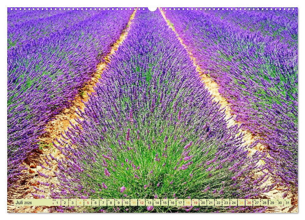 Traum-Ziele - Lavendel der Provence, Frankreich (CALVENDO Premium Wandkalender 2026)