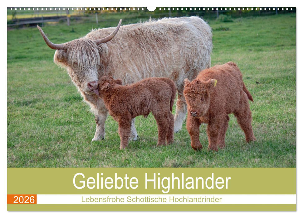 Geliebte Highlander (CALVENDO Wandkalender 2026)
