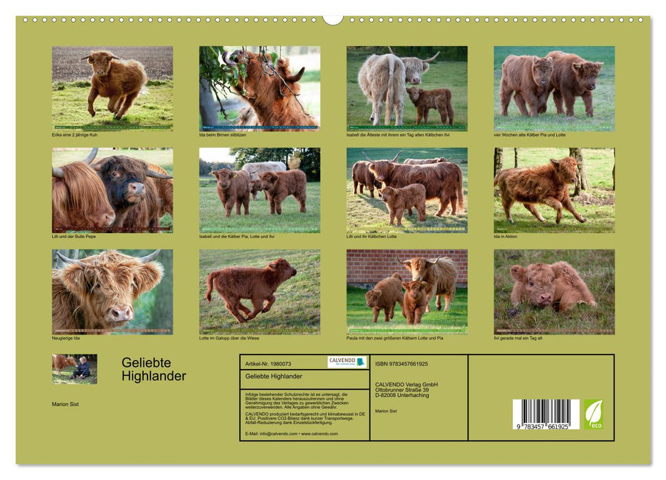 Geliebte Highlander (CALVENDO Wandkalender 2026)