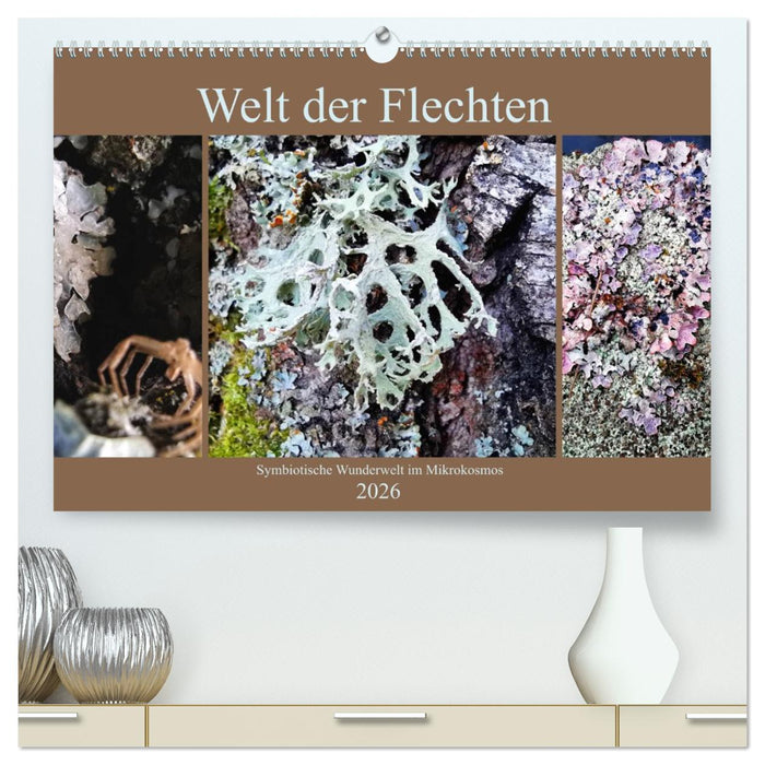 Welt der Flechten (CALVENDO Premium Wandkalender 2026)