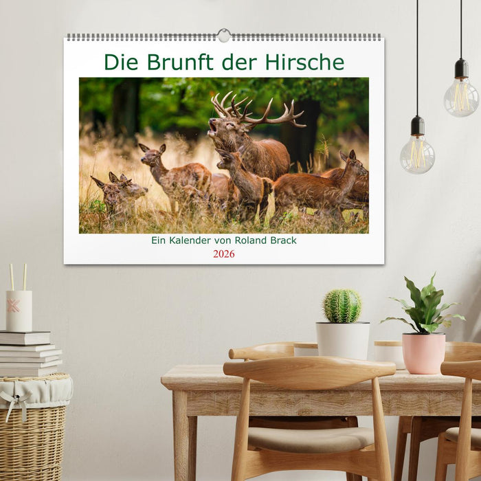 Die Brunft der Hirsche (CALVENDO Wandkalender 2026)