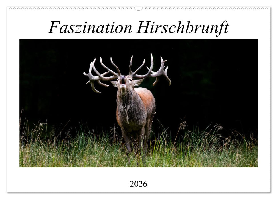 Faszination Hirschbrunft (CALVENDO Wandkalender 2026)