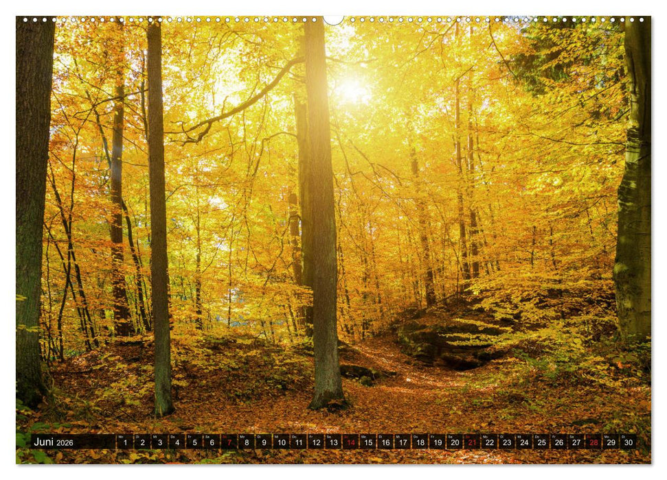 Mühltal Eisenberg (CALVENDO Premium Wandkalender 2026)