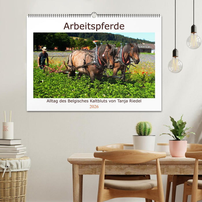Arbeitspferde - Alltag des belgischen Kaltbluts (CALVENDO Wandkalender 2026)