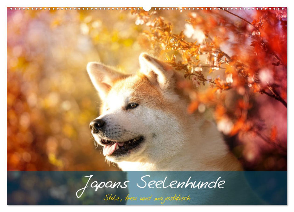 Japans Seelenhunde (CALVENDO Wandkalender 2026)