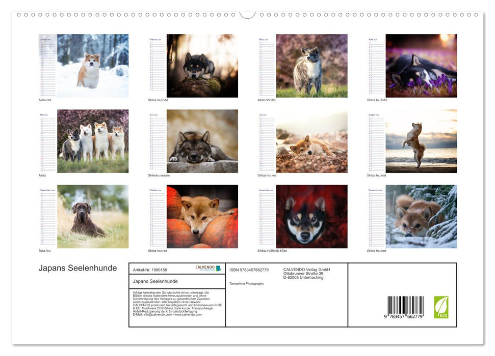 Japans Seelenhunde (CALVENDO Wandkalender 2026)
